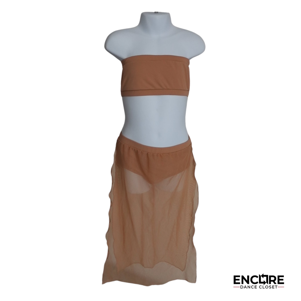 Graceful Two-Piece Mesh Skirt Costume