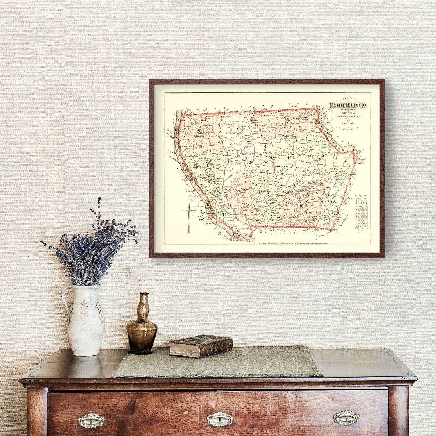 Vintage Map of Fairfield County, South Carolina 1876