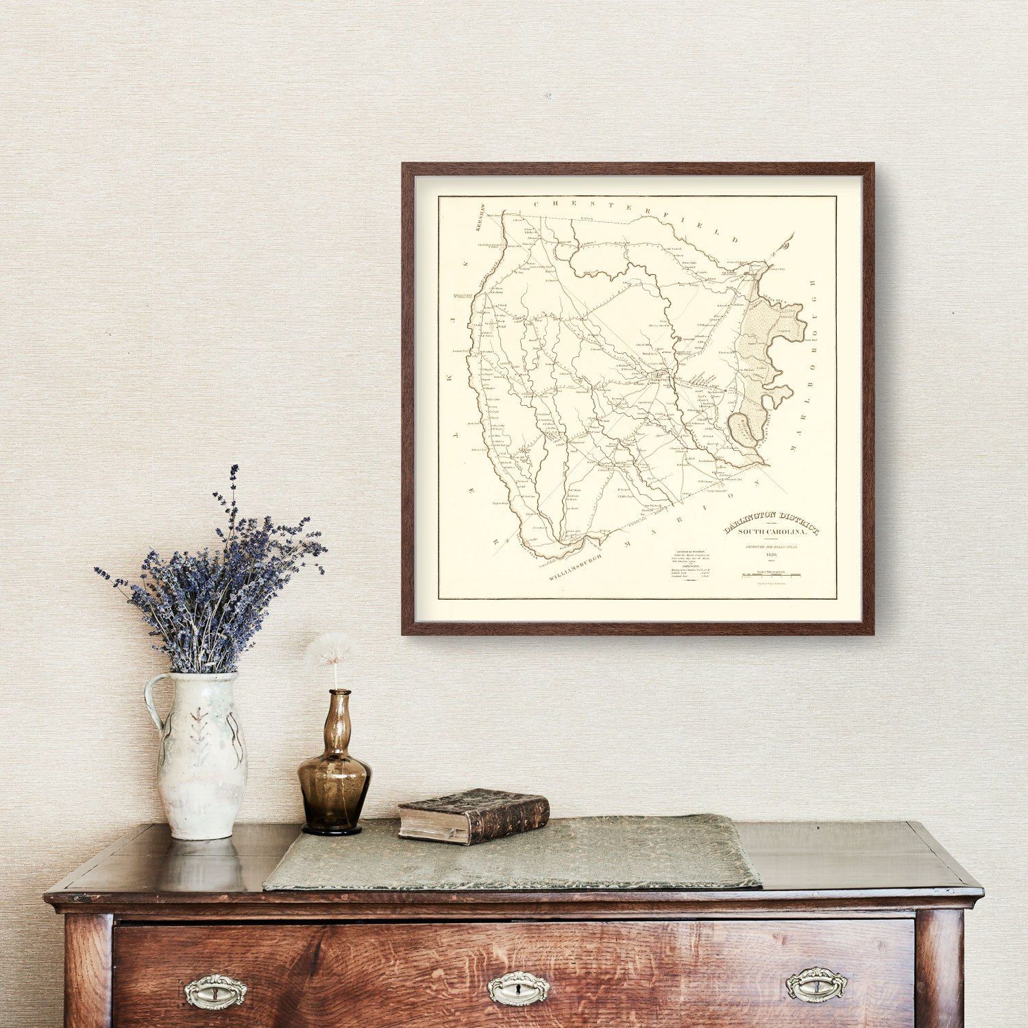 Vintage Map of Darlington County, South Carolina 1825