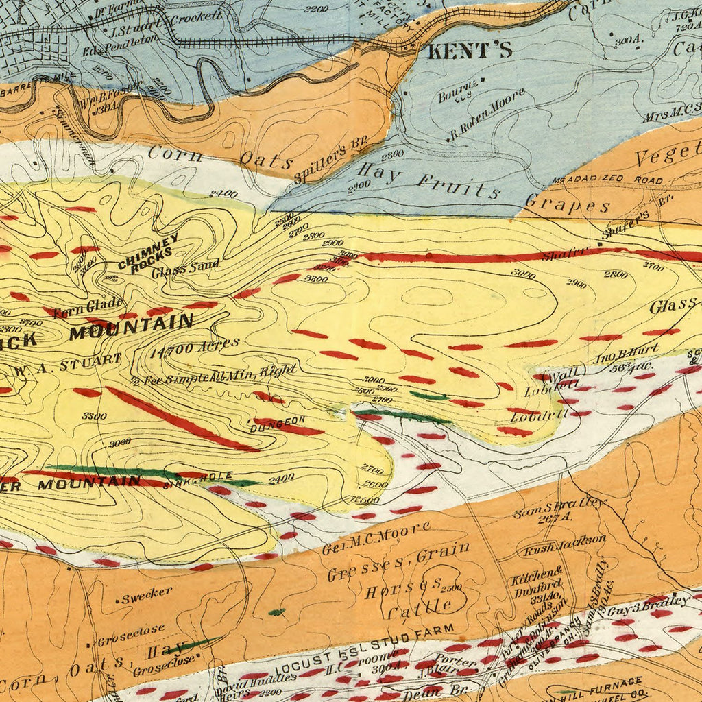Vintage Map of Wythe County, Virginia 1890