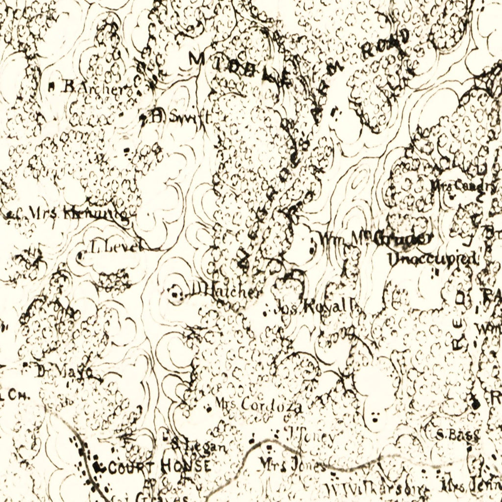 Vintage Map of Powhatan County, Virginia 1864