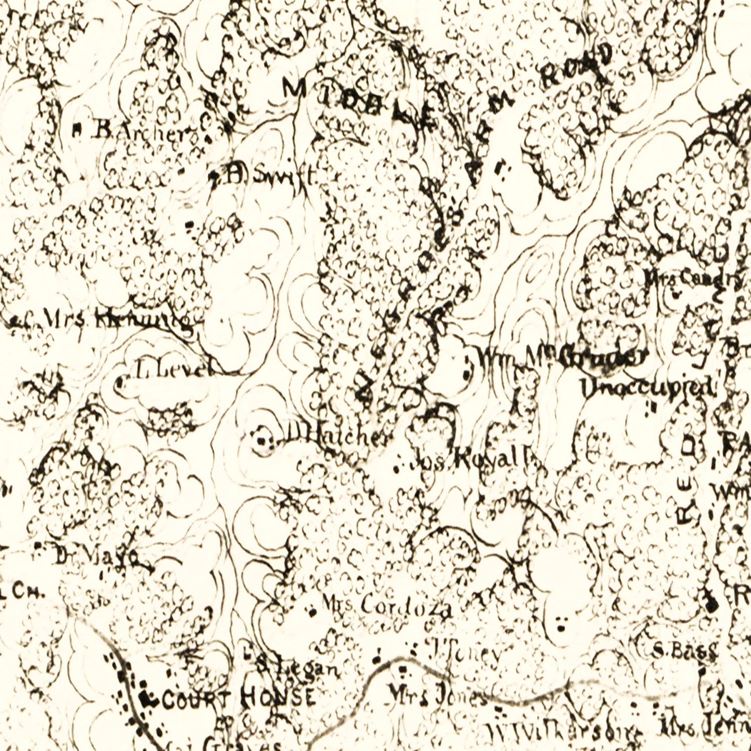 Vintage Map of Powhatan County, Virginia 1864