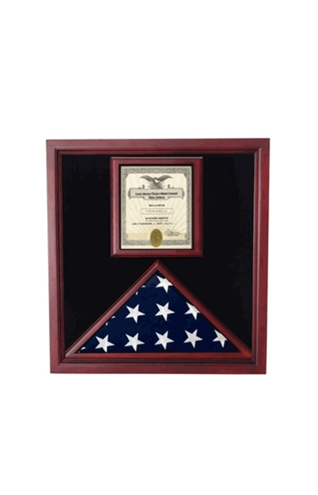 Award and flag display case display Case - wall mounting