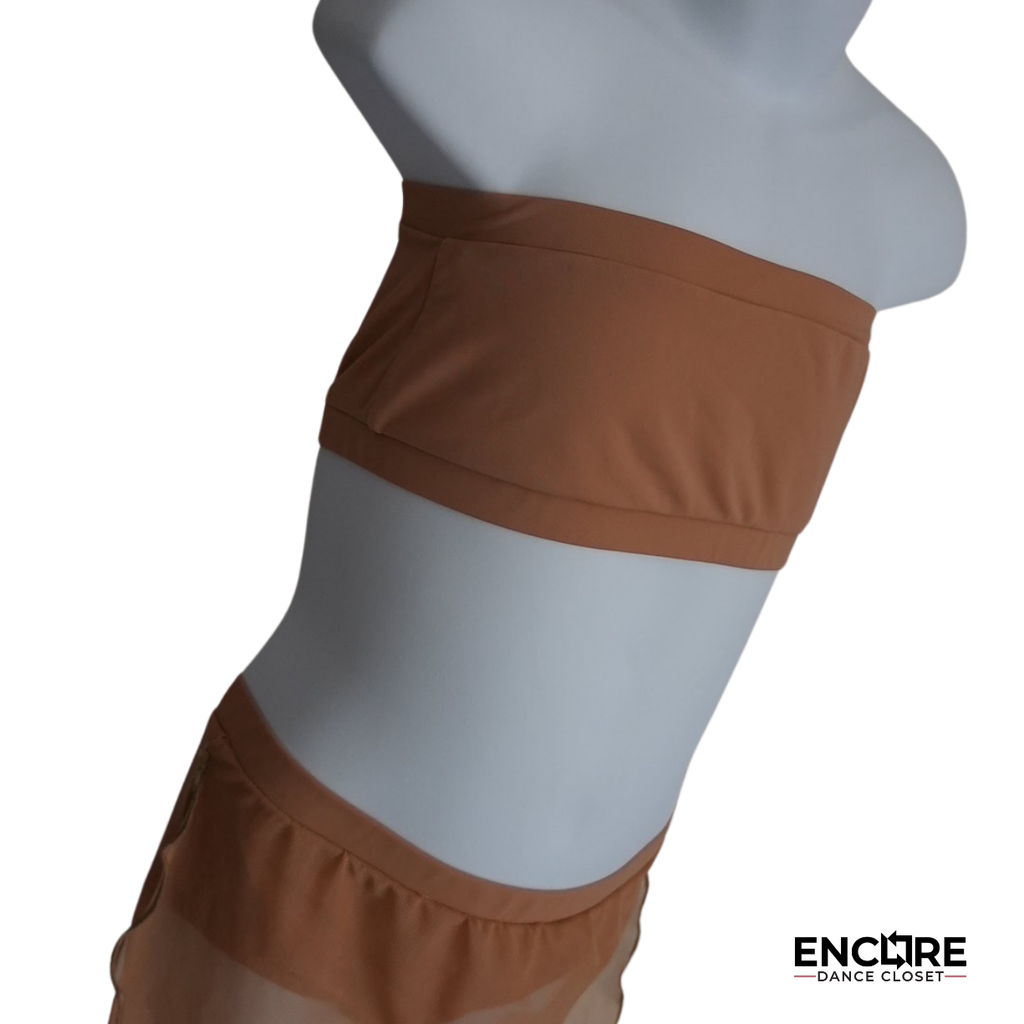 Graceful Two-Piece Mesh Skirt Costume