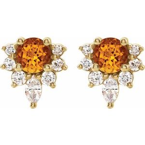 Accented Earrings