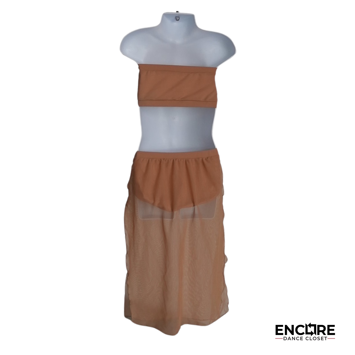 Graceful Two-Piece Mesh Skirt Costume