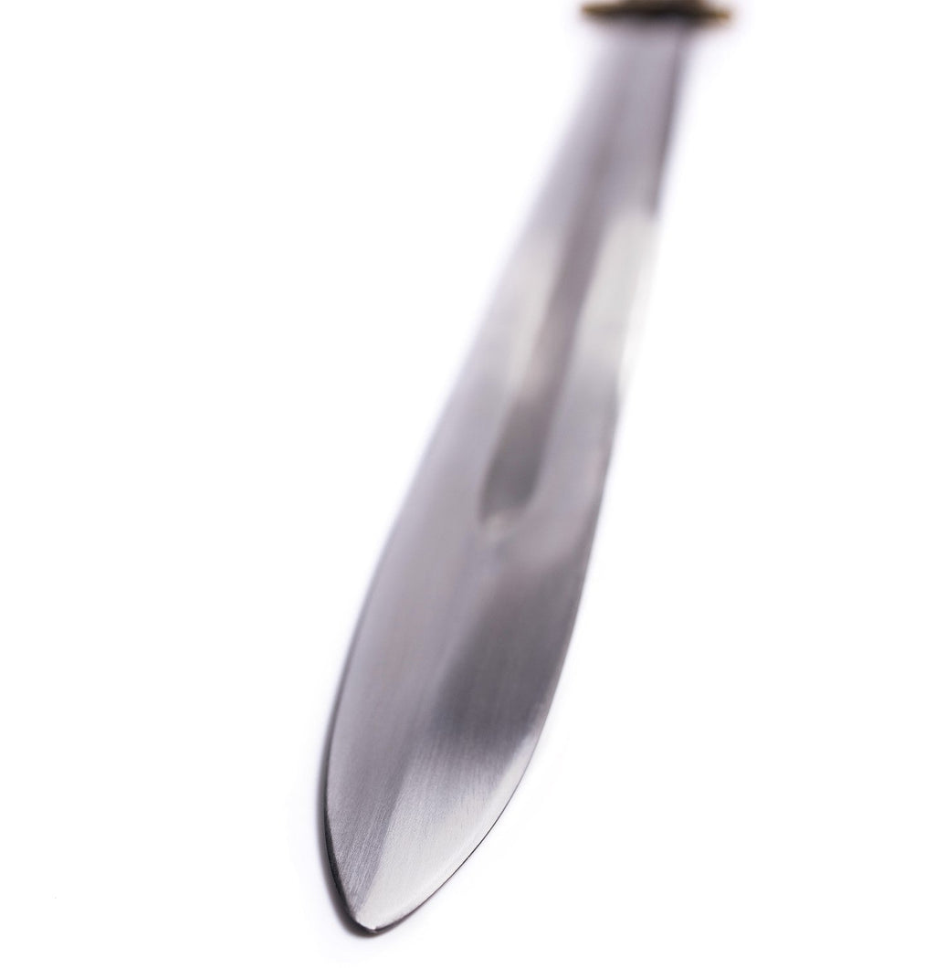 Viking Sword "Eldbroti" – Spring Steel Replica