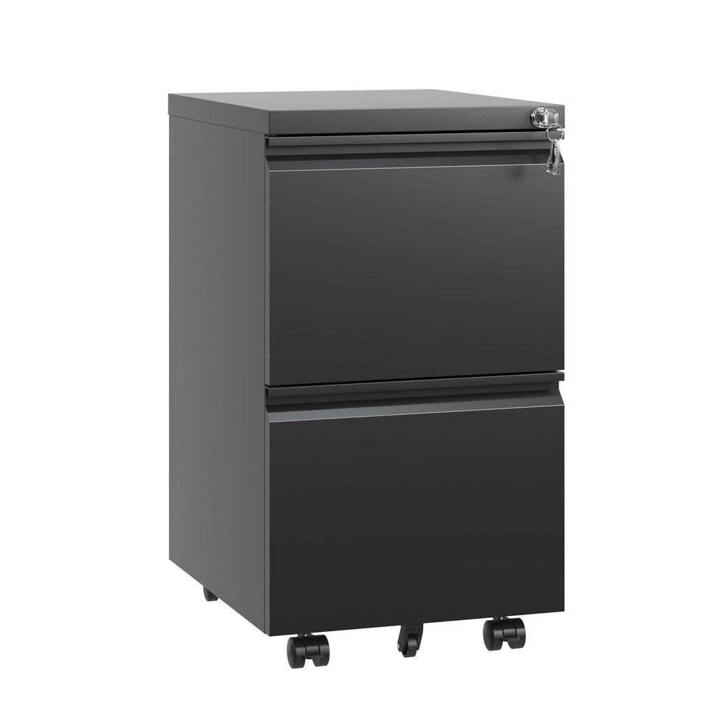 Sleek Modern 2 Drawer Metal Mobile File Cabinet with Lock, Black, Compact Size