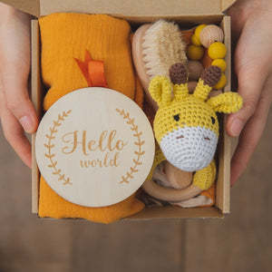Baby Teething Toy Gift Set – Soothing Teether and Sensory Development Kit