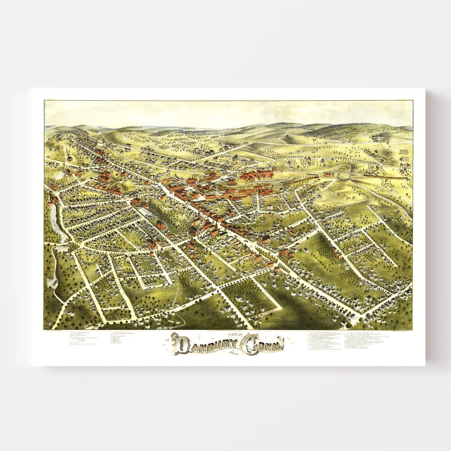 Vintage Map of Danbury, Connecticut 1875
