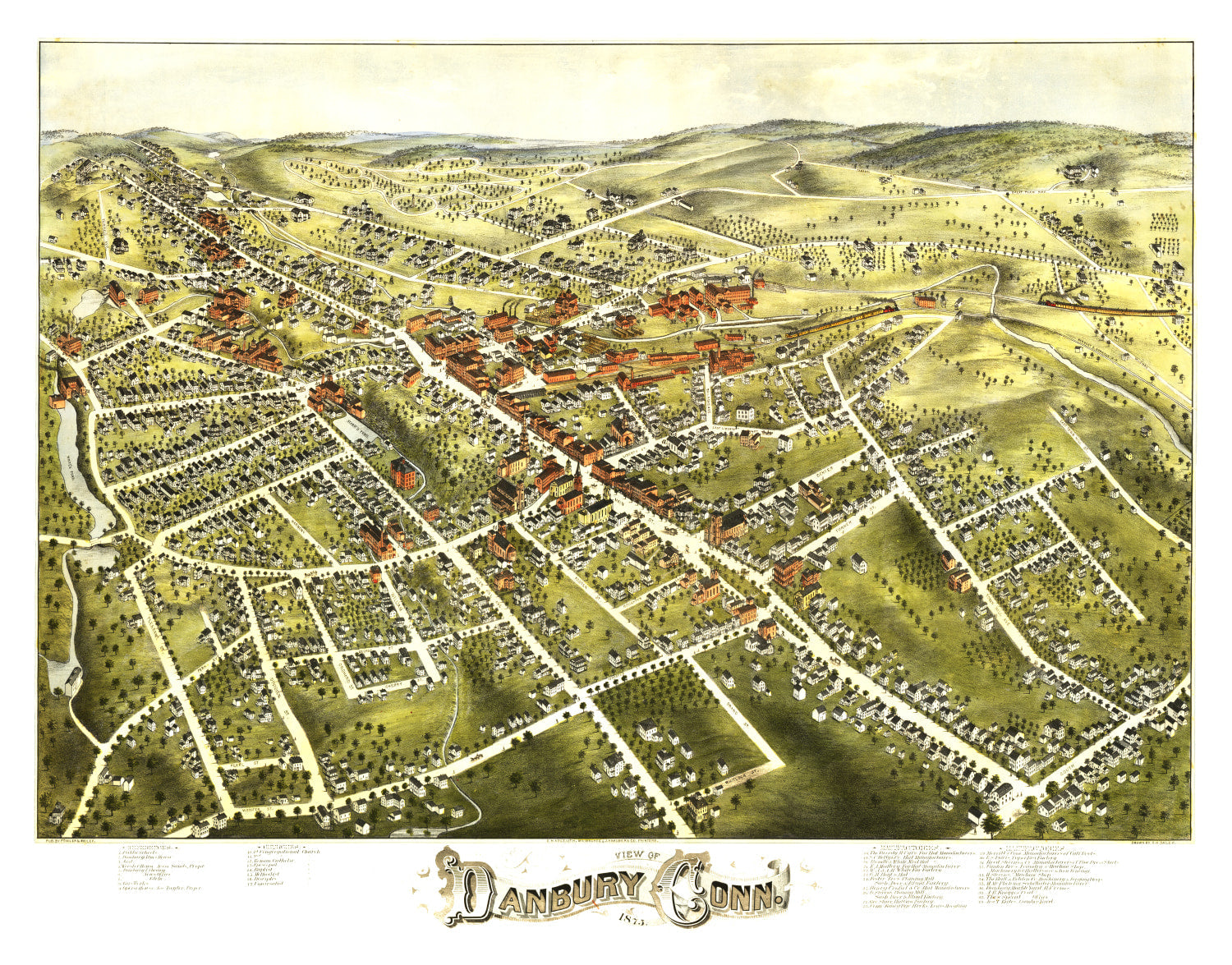 Vintage Map of Danbury, Connecticut 1875