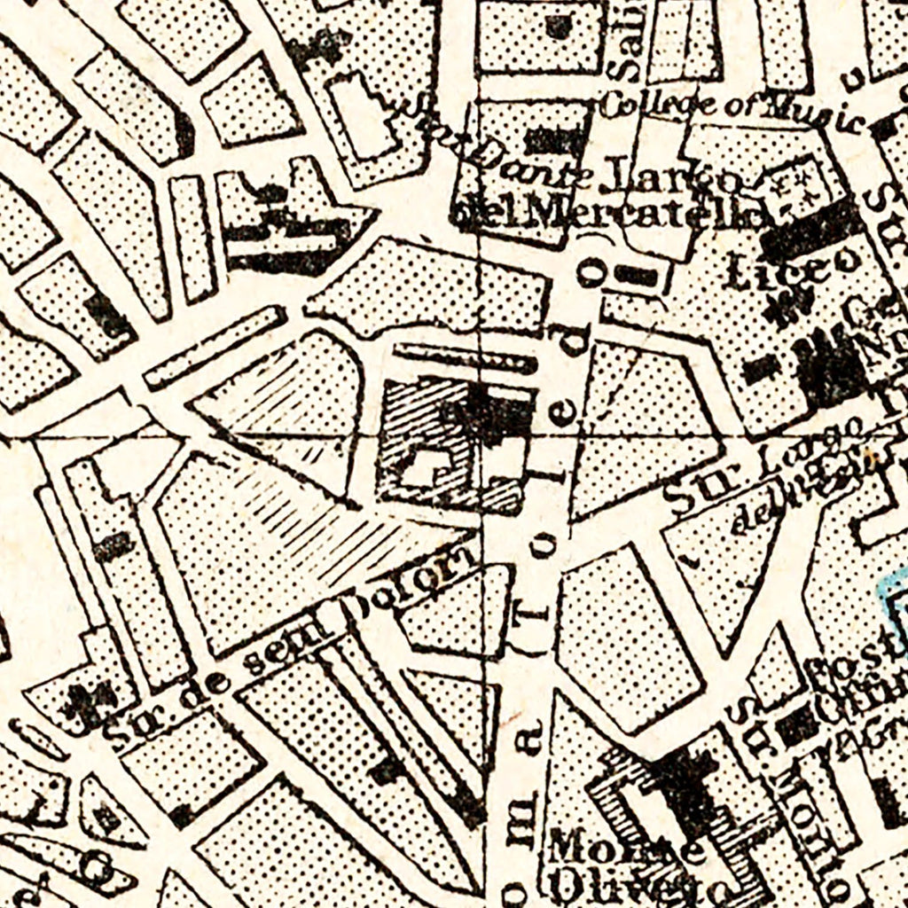 Vintage Map of Naples, Italy 1893