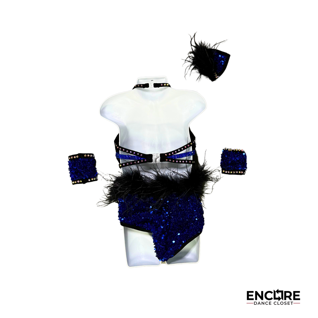Shimmering Blue Costume
