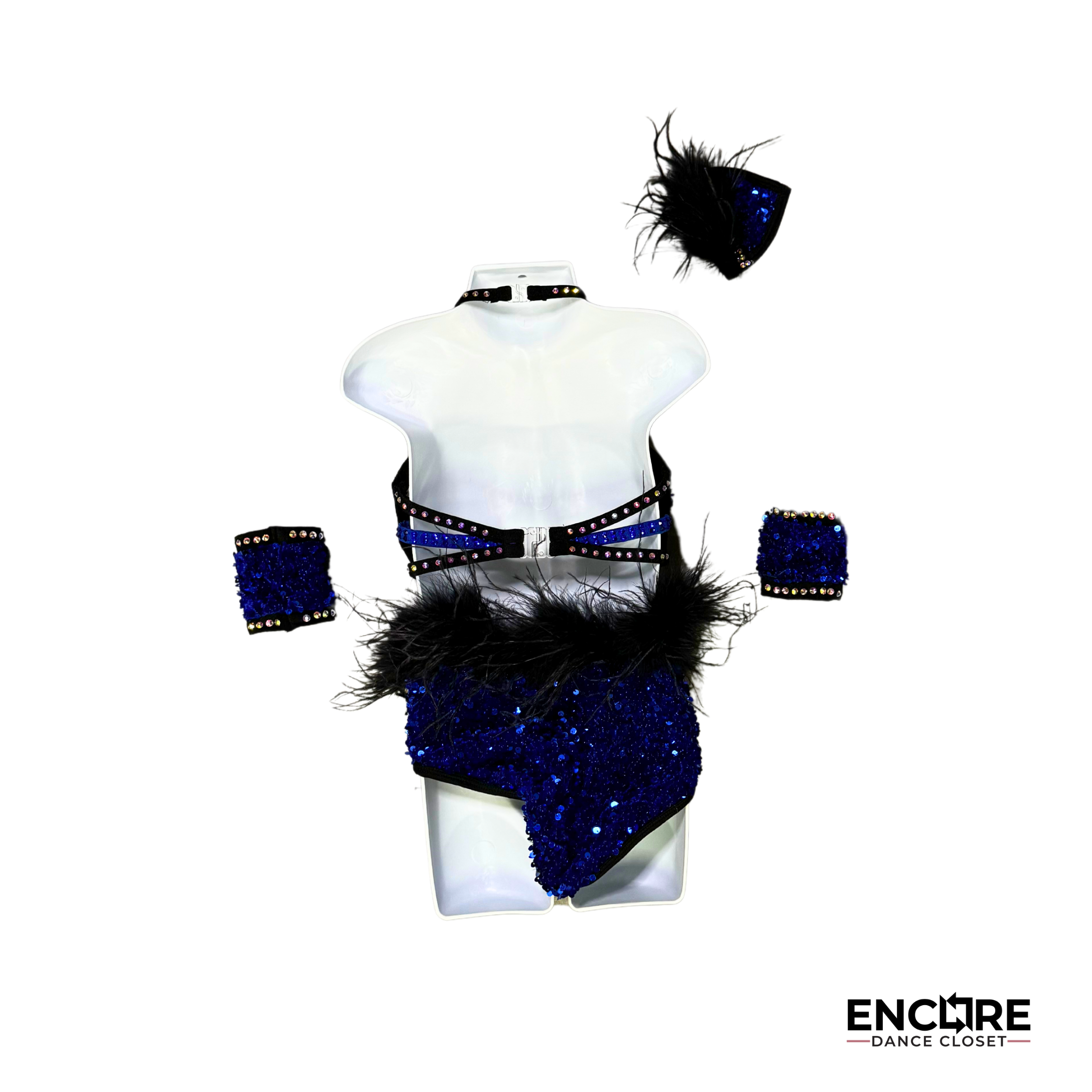 Shimmering Blue Costume