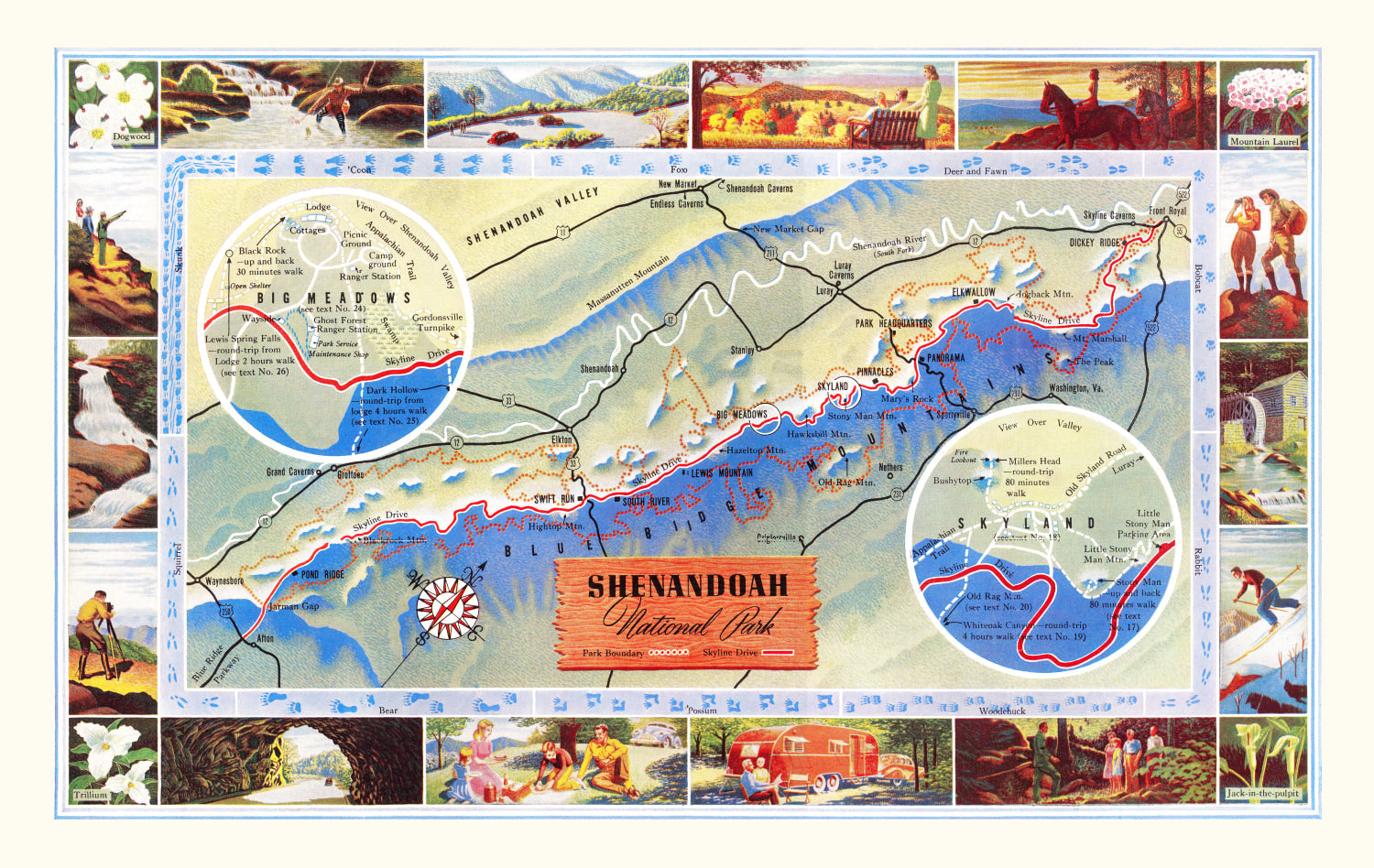 Vintage Map of Shenandoah National Park 1947