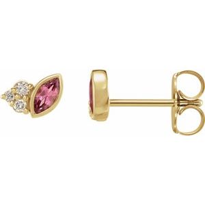 14K Yellow Gold Natural Pink Tourmaline & .05 CTW Natural Diamond Earrings