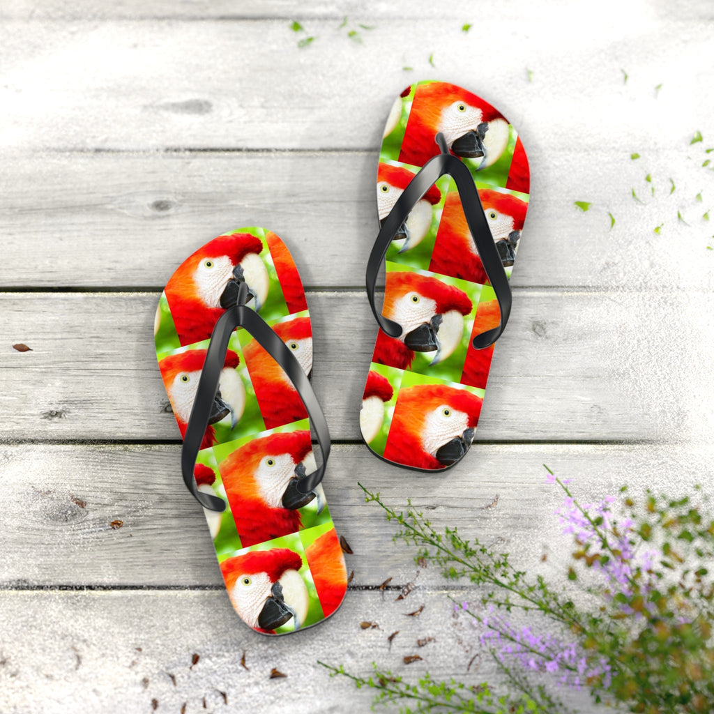 Scarlet Macaw Parrot Flip Flops