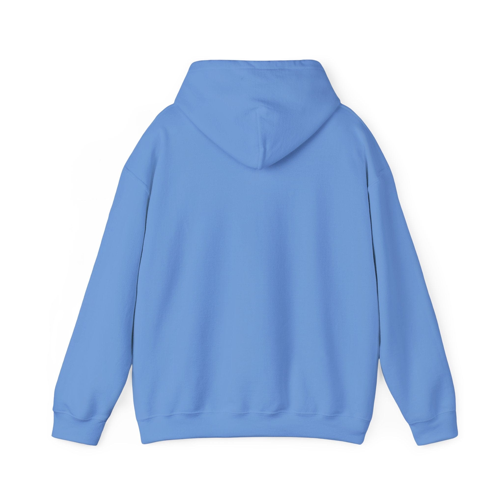 Blunt Truths Hoodie