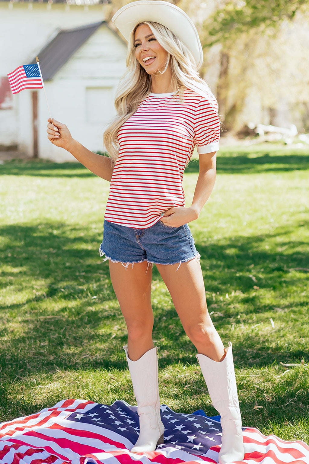 Stripe Contrast Trim Round Neck Puff Sleeve T-Shirt