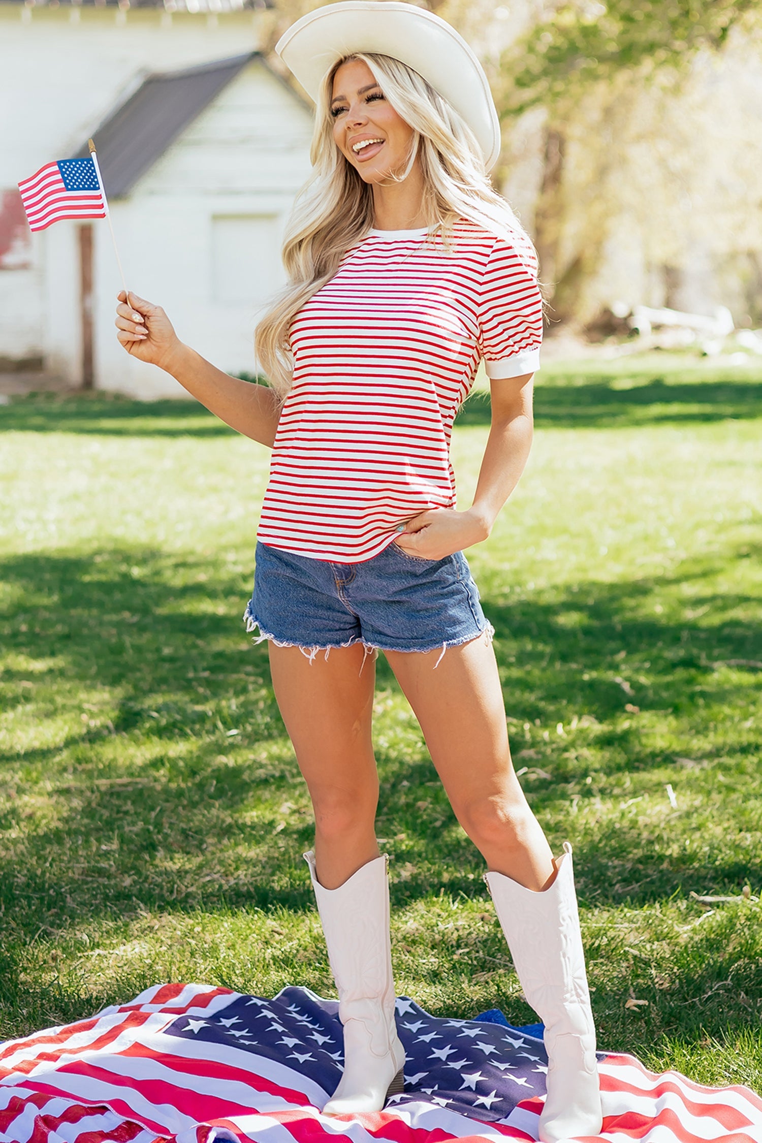 Stripe Contrast Trim Round Neck Puff Sleeve T-Shirt