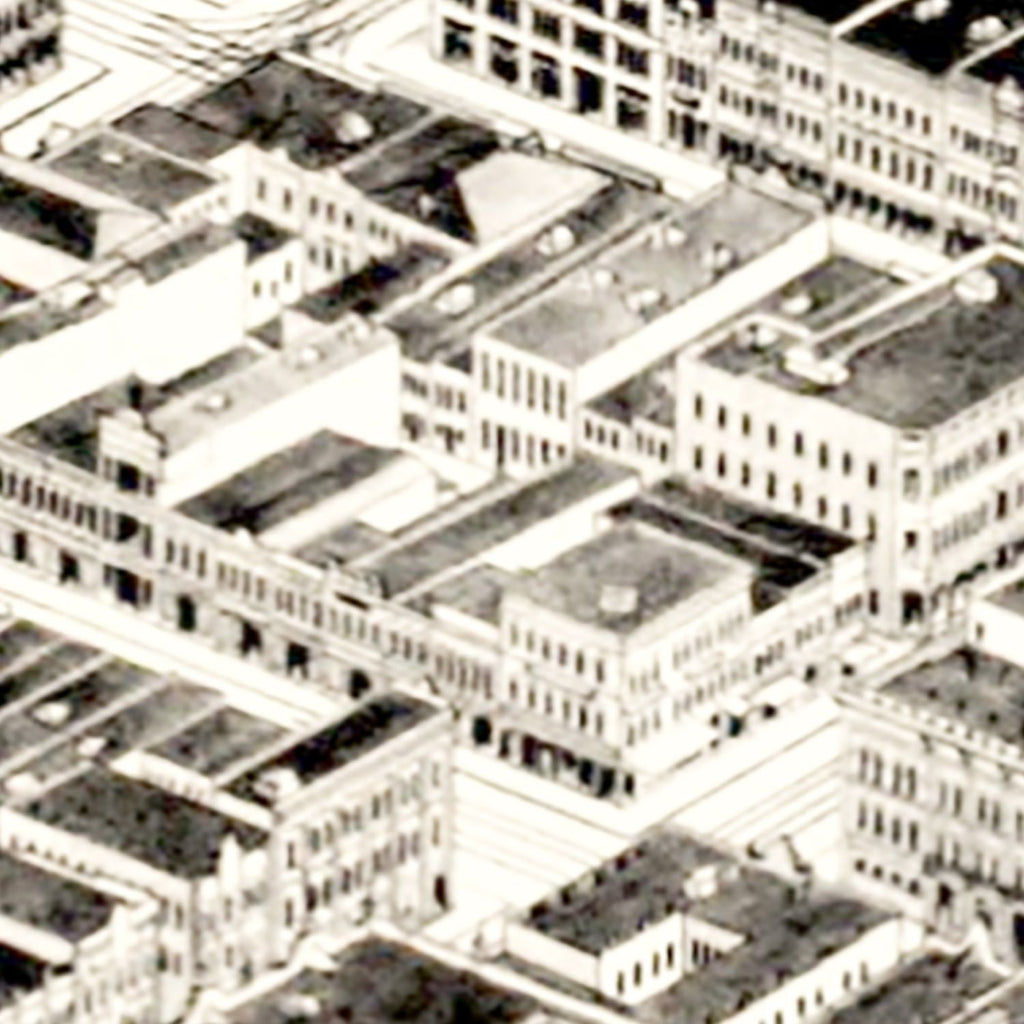 Vintage Map of Birmingham, Alabama 1903