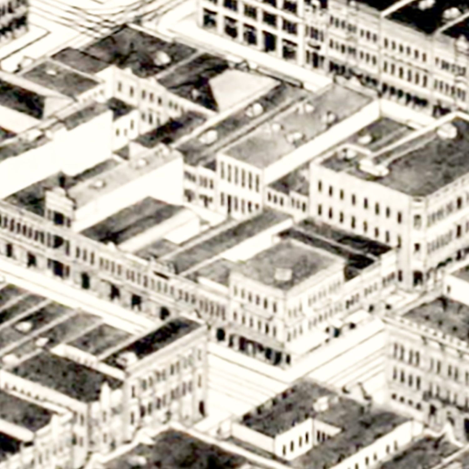 Vintage Map of Birmingham, Alabama 1903