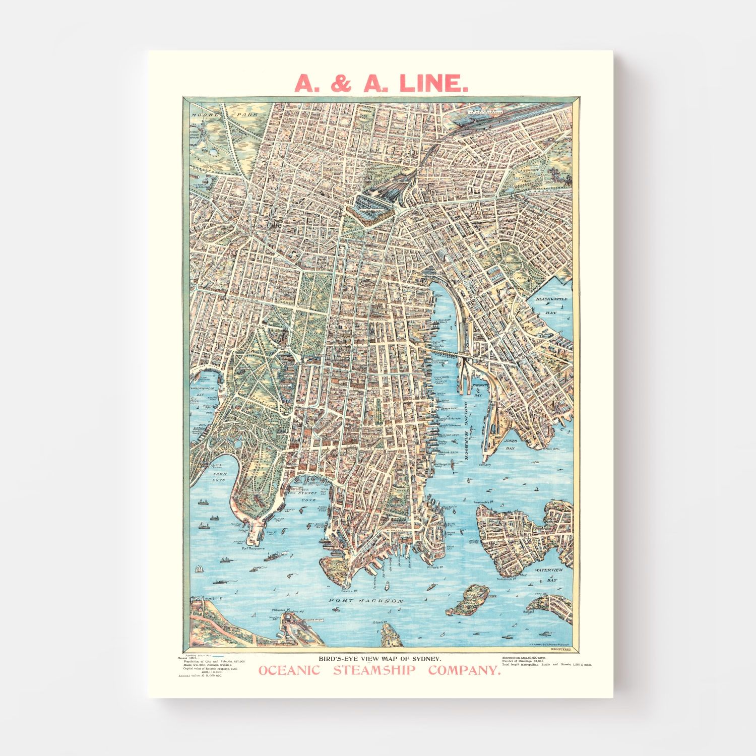 Vintage Map of Sydney, Australia 1902