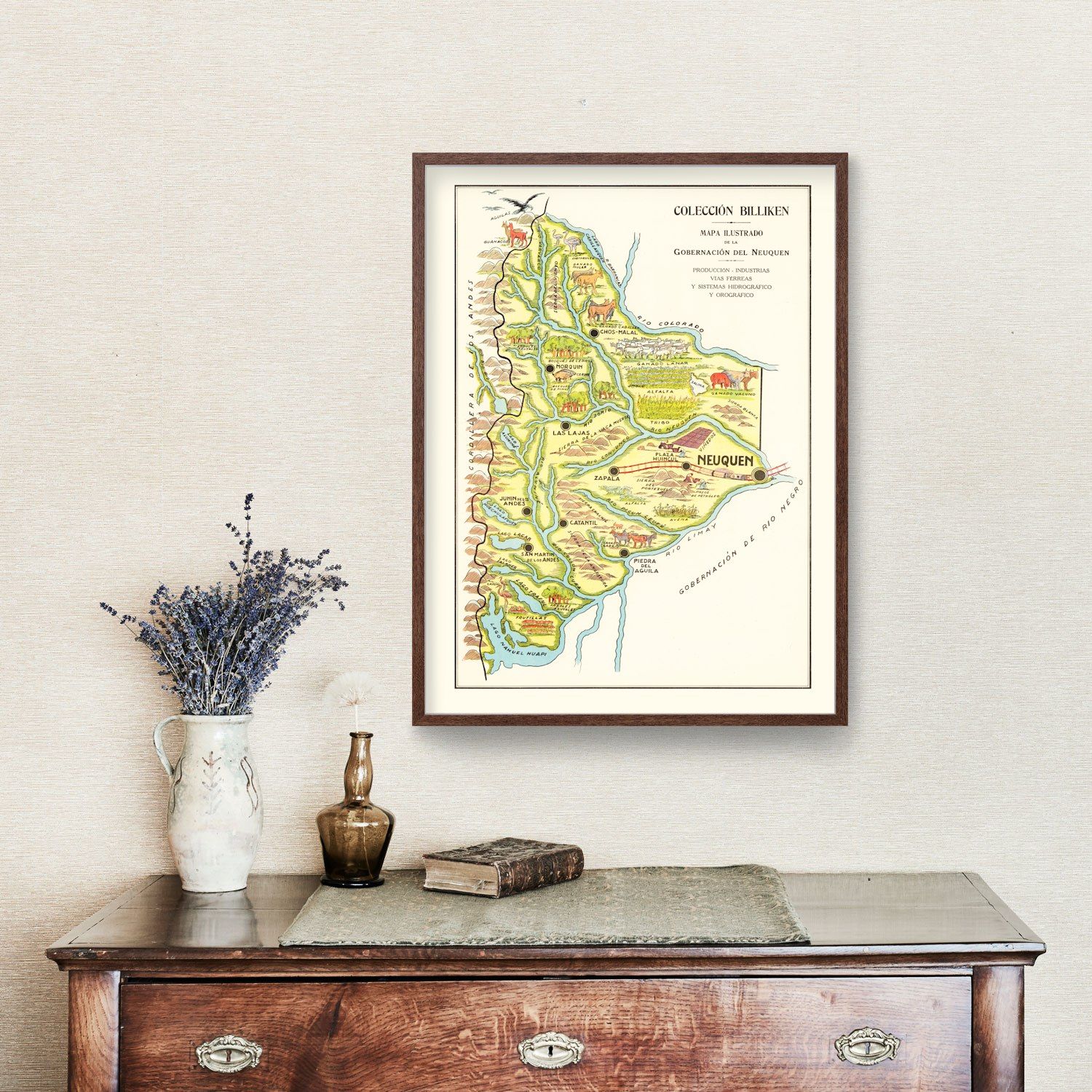 Vintage Map of Neuquen, 1933