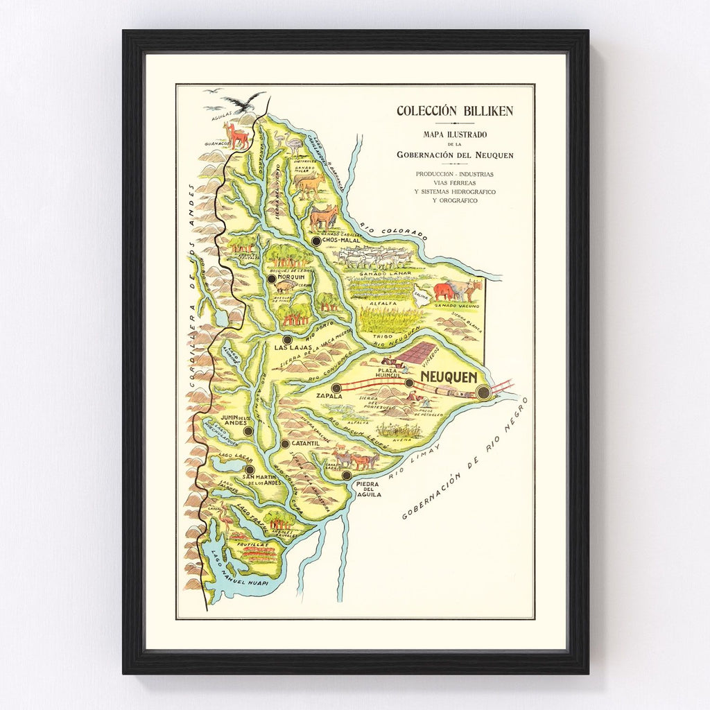 Vintage Map of Neuquen, 1933