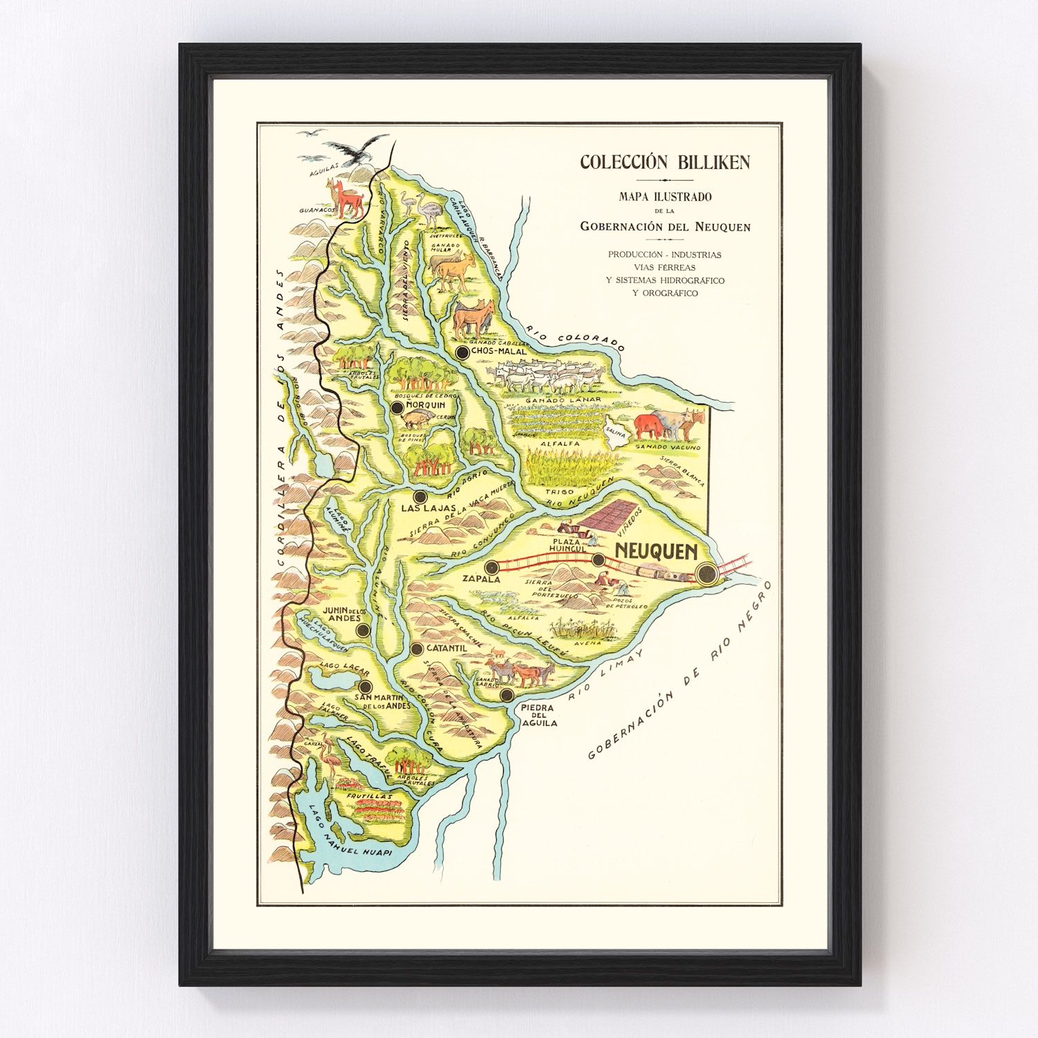 Vintage Map of Neuquen, 1933