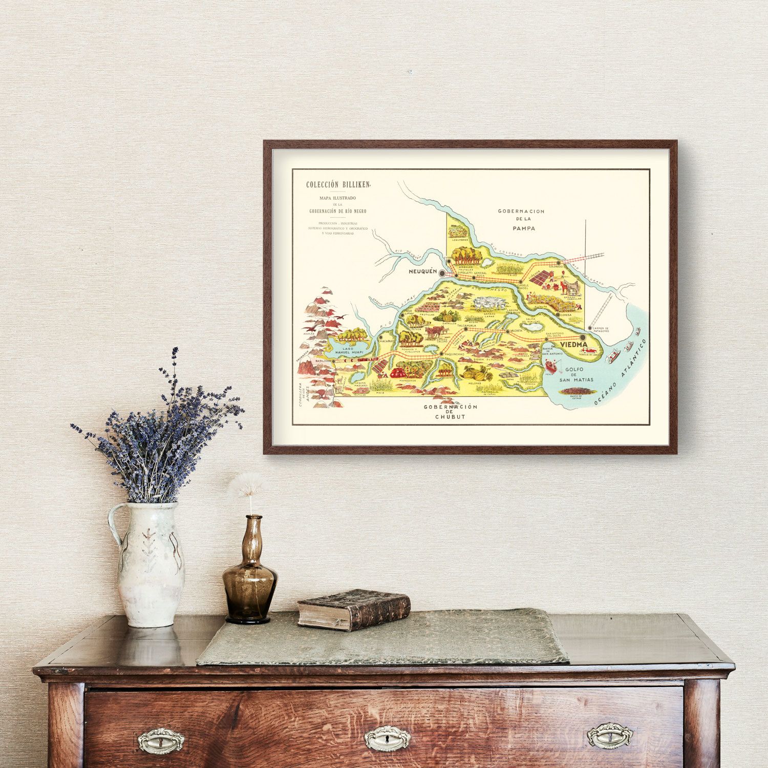 Vintage Map of Rio Negro, 1933
