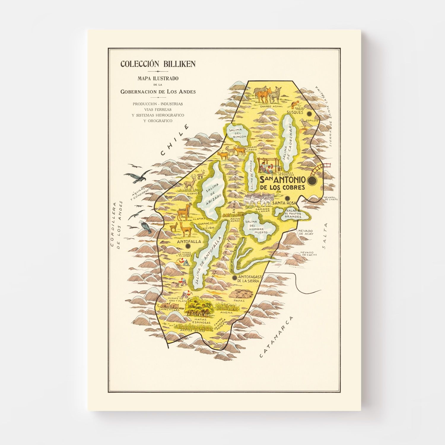 Vintage Map of Andes Mountains, 1933