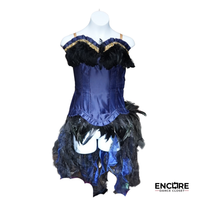 Midnight Feather Corset