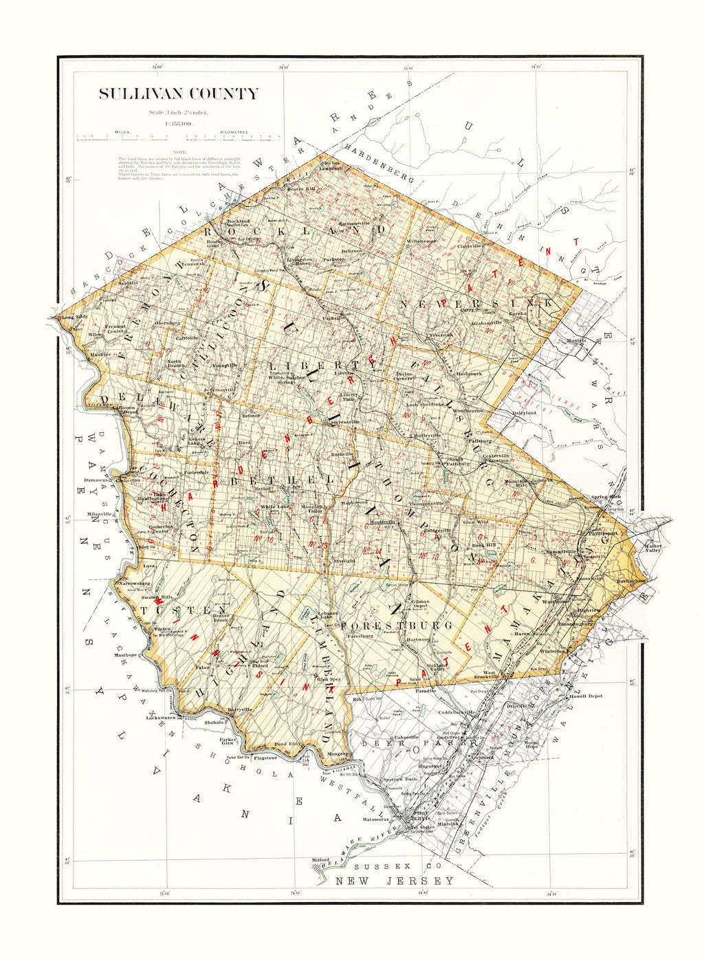 Vintage Map of Sullivan County, New York 1895