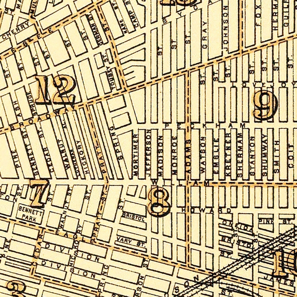 Vintage Map of Buffalo, New York 1895