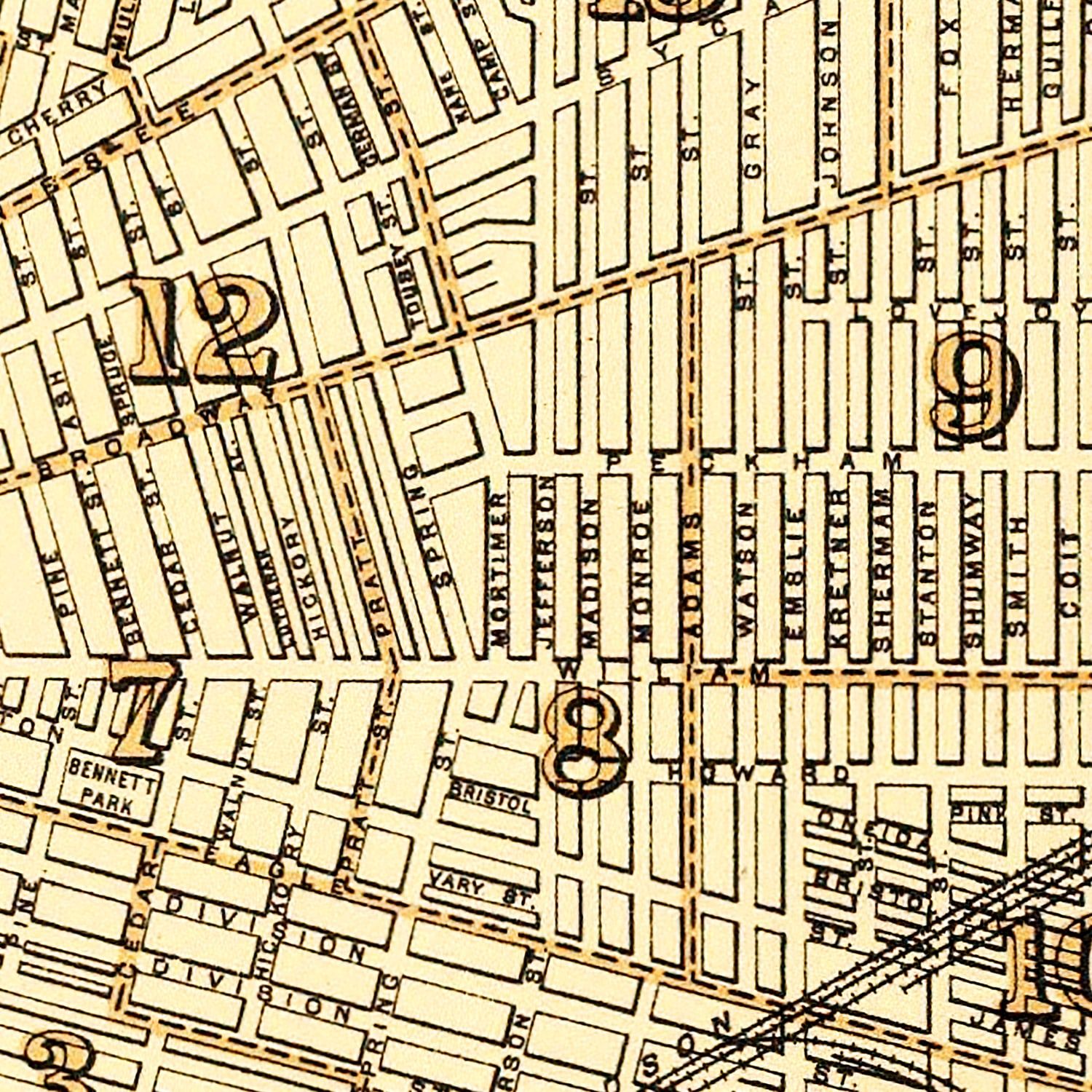 Vintage Map of Buffalo, New York 1895