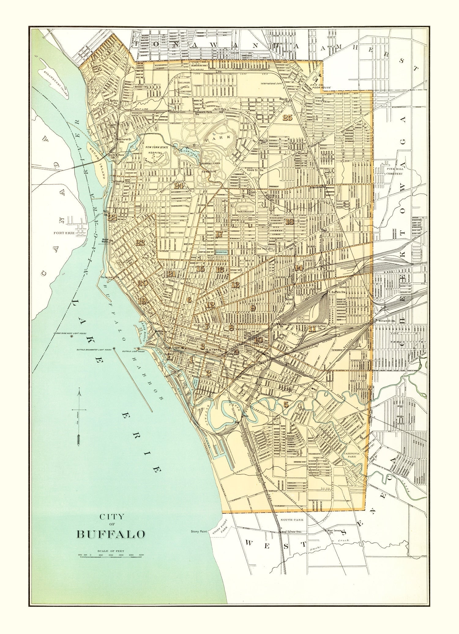 Vintage Map of Buffalo, New York 1895