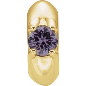 14K Yellow Gold Imitation Alexandrite Birth of a Child® Spacer Charm/Pendant