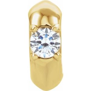 14K Yellow Gold Imitation White Cubic Zirconia Birth of a Child® Spacer Charm/Pendant