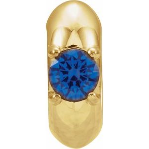 14K Yellow Gold Imitation Blue Sapphire Birth of a Child® Spacer Charm/Pendant
