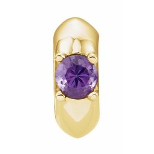 14K Yellow Gold Imitation Amethyst Birth of a Child® Spacer Charm/Pendant