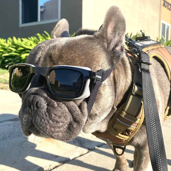 W1 Eye Defender Goggles