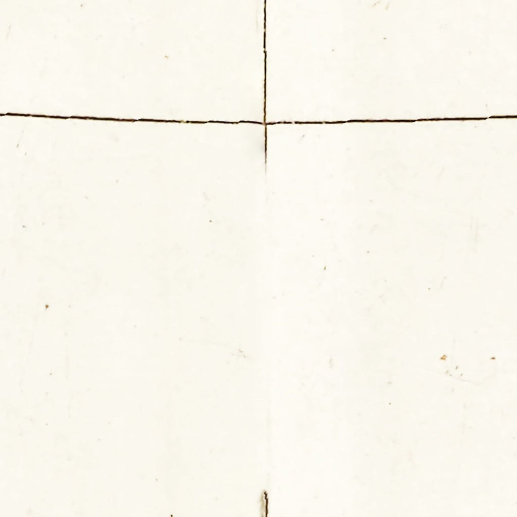 Vintage Map of Nova Zembla, 1665