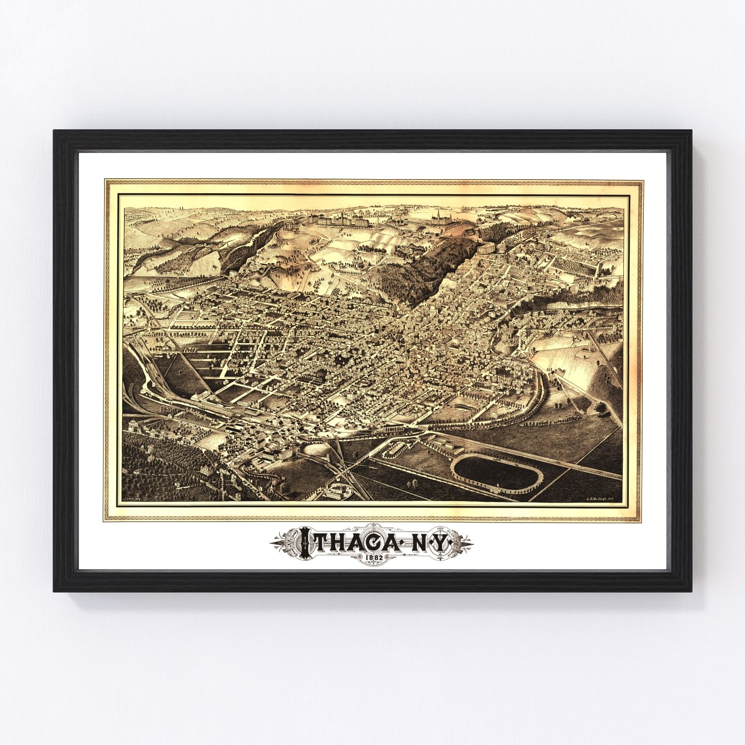 Vintage Map of Ithaca, New York 1882