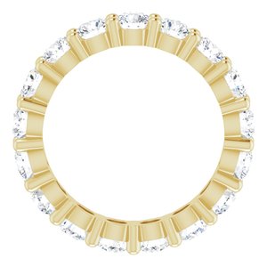 10K Yellow Gold 2 1/2 CTW Lab-Grown Diamond Eternity Band Size 5.75