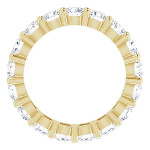 14K Yellow Gold 2 3/4 CTW Lab-Grown Diamond Eternity Band Size 6