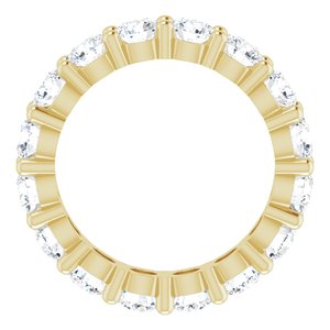 14K Yellow Gold 3 7/8 CTW Lab-Grown Diamond Eternity Band Size 6