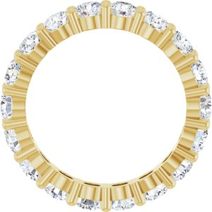 14K Yellow Gold 2 7/8 CTW Lab-Grown Diamond Eternity Band Size 7