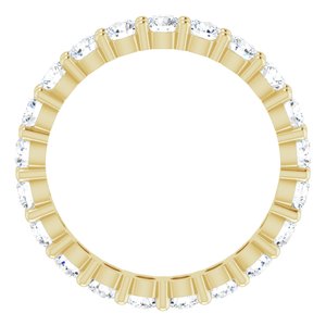 10K Yellow Gold 2 1/2 CTW Natural Diamond Eternity Band Size 9