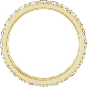 14K Yellow Gold 1 3/8 CTW Natural Diamond French-Set Eternity Band